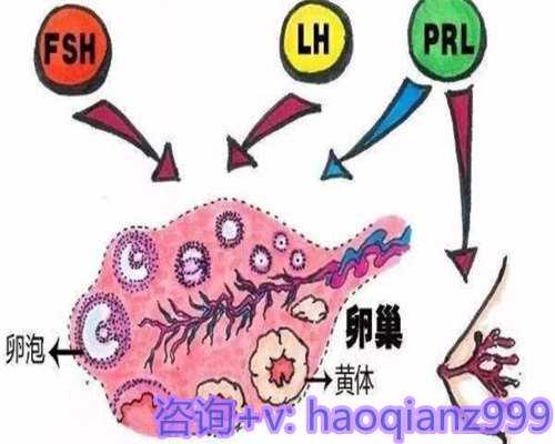 南宁供卵医院,为生命注入新的希望