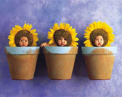 代生男孩价格，取卵后第二次月经后多久可以移植