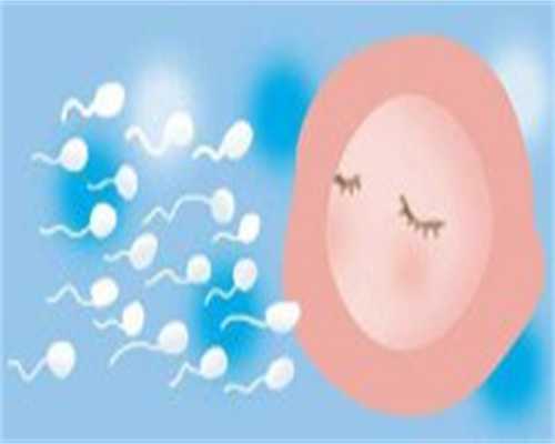 供卵怀孕费用，吃黄体酮和上曼月乐哪个好？子宫腺肌症吃药好还是上曼月乐环好？