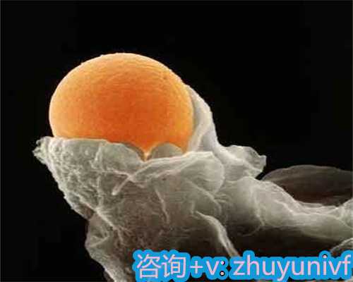 哪些人适合养囊