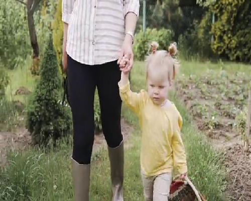 广西代怀孕多少钱,试管婴儿移植前注意事项诶