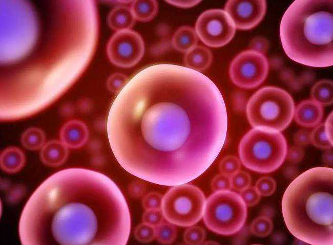 代生儿子公司,在广西做试管婴儿多少钱?