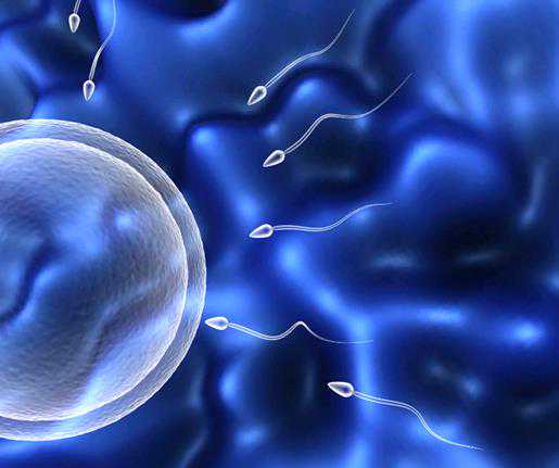 广西代怀手术费用,赴泰国试管婴儿5大骗局！