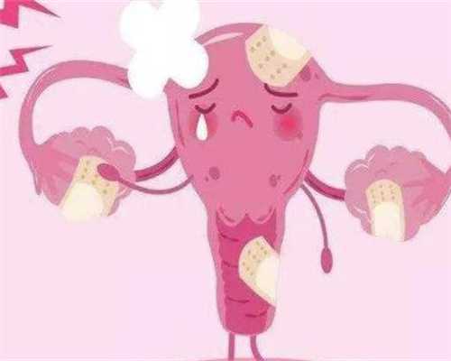 山大供卵费用，供精试管婴儿费用明细