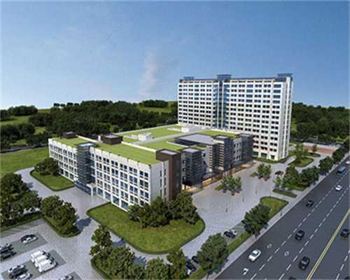 石斛泡水:广西做代生犯法吗男士的护肾神器,提高精子质量的最佳选择!