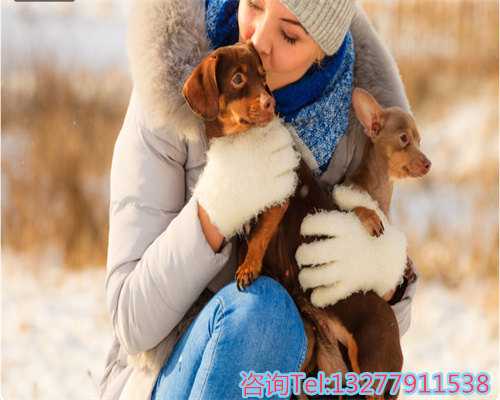 代生费用问题，广西哪里做第三代试管？广西省第三代试管医院