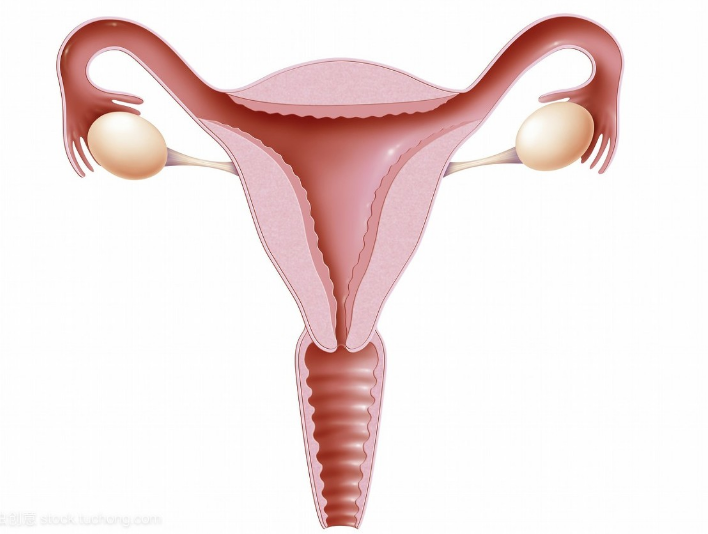 第三天的5细胞和4细胞胚胎质量和等级怎么样？