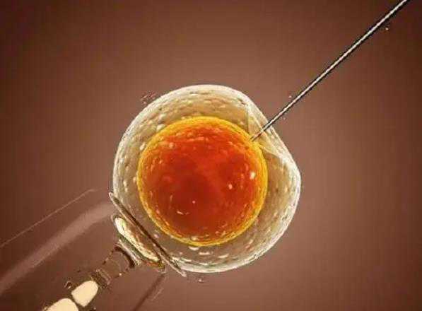 代生男孩价钱，供卵试管费用如何计算？