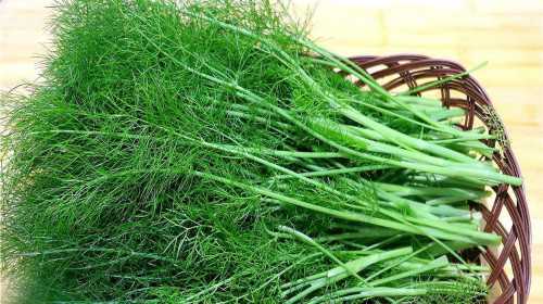 广西供卵要多少钱把代生孩子的梦想变为现实