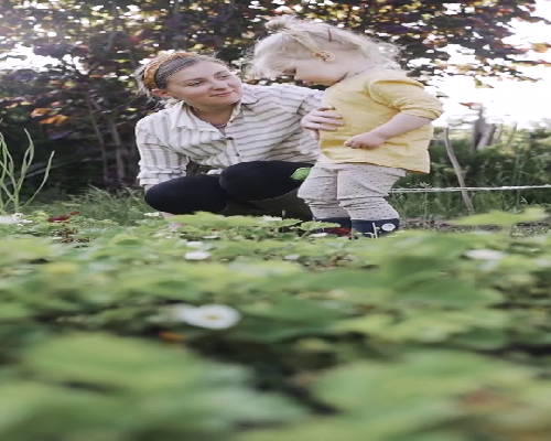 代生子包男孩，为什么鲜胚不容易着床？鲜胚不着床是什么原因？
