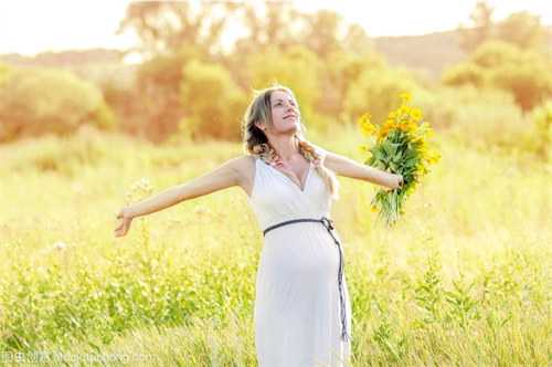 广西助孕中心,图文演示第三代试管婴儿移植