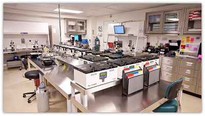 美国肌醇胆碱真的是多囊卵巢的克星吗？