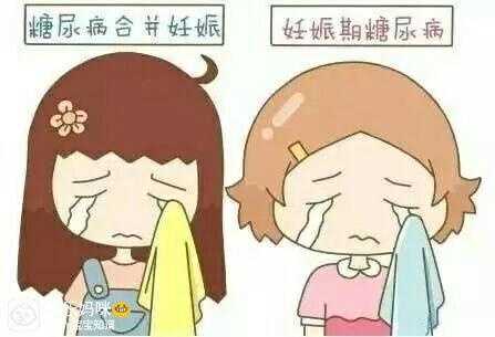 咨询代孕公司,胚胎体外培养液成分及胚胎体外培养一般要多久?