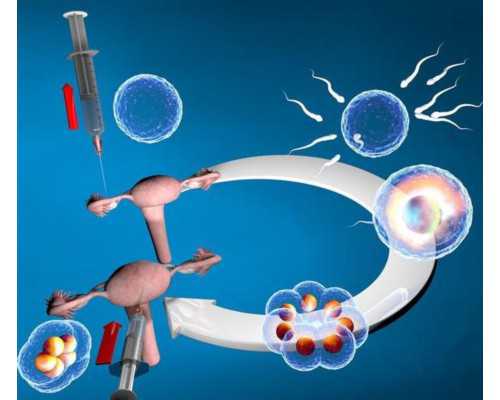 供卵供精机构,促排卵后出血的原因?促排卵后第九天出血正不正常?