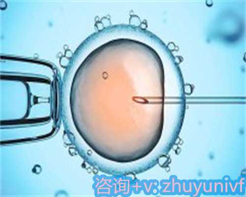 广西代孕试管中介,胚胎着床的若干问题解答