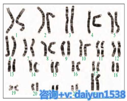 试管南宁代孕价钱在哪种情况下适合用孕酮
