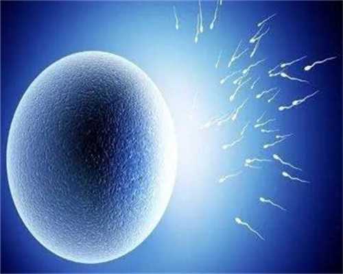 最新代生套餐，试管移植反复不着床吃环孢素 反复不着床吃环孢素成功