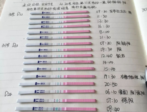 专业代生价格，卵泡不长怀孕的几率为0？卵泡不长有什么影响？