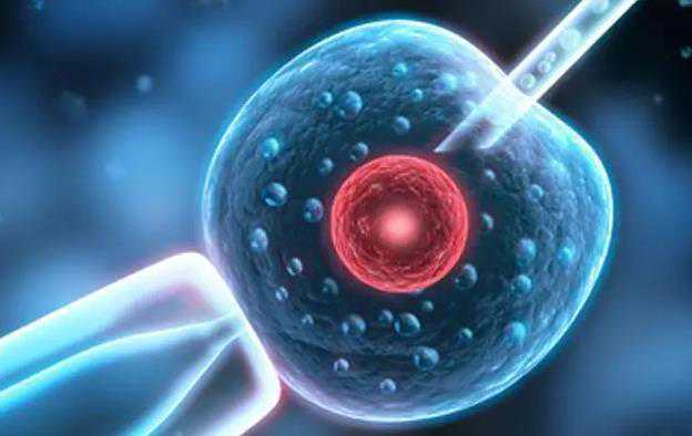 贵港能做试管婴儿吗，贵港试管医院及费用明细