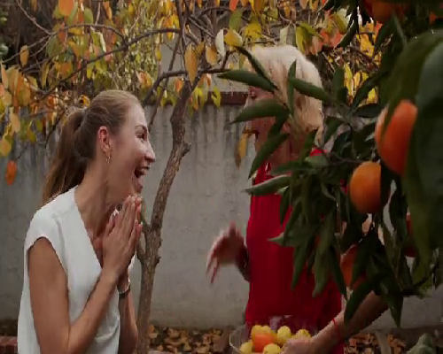 正规供卵咨询，1PN的4BB囊胚能不能移植(4bb和3ab囊胚哪个好)