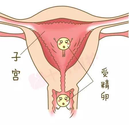 南宁代孕女电话可以吃固肾安胎丸吗，固体安胎丸是保胎药吗