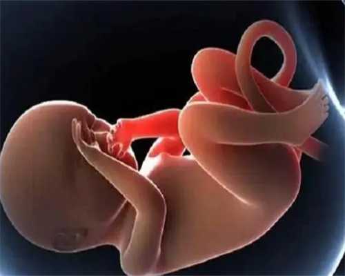 代孕供卵费用，预防子宫肌瘤的关键措施是什么？子宫肌瘤是否与雌激素刺激有关？