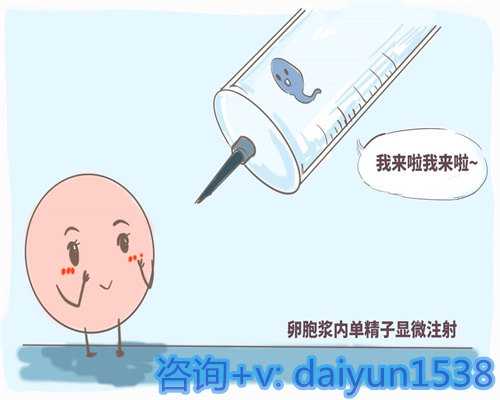 单身试管医院，10公分子宫肌瘤怎么办（绝经后还会得子宫肌瘤吗）